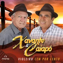 É Sacanagem