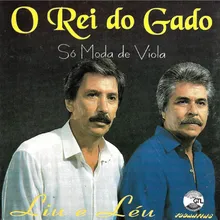 Jeitão de Caipira