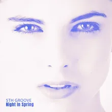 Night In Spring-Short Groove Mix