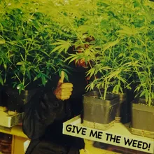 Give Me the Weed-Cafe Mixx