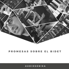 Promesas Sobre el Bidet