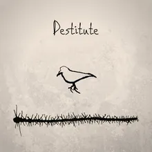 Destitute-Acoustic