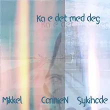 Ka e d med deg?