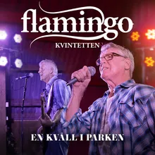 Nånting Fånigt