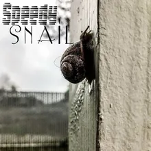 Speedy Snail