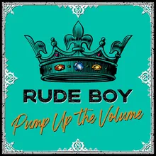 Pump up the Volume-Radio Edit