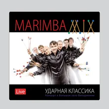 Phone Marimba-Live