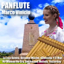 Vasija de Barro-Panflute Version