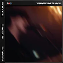 Fickle Fake Friend-Waldsee Live Session