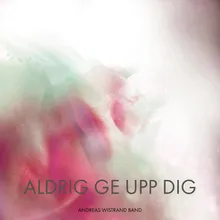 Aldrig ge upp dig-Radio Edit