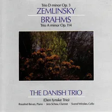 Trio D Minor For Piano, Clainet & Cello Op. 3: II. Andante