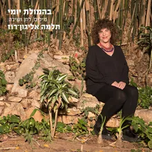 בהמולת יומי