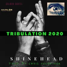 Truibulation 2020