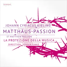 St Matthew Passion: JEsus schweigt, auch du musst schweigen (Aria [Canto])