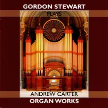 Concerto in C Major for Organ, Strings, Wind & Timpani: Andante Gocosso