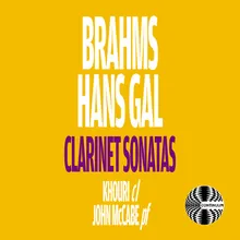 Clarinet Sonata, Op 84: I. Allegro moderato