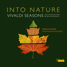 The Four Seasons - Violin Concerto in G Minor, Op. 8, No. 2, RV 315, "Summer": II. Adagio