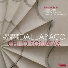 Sonata in D Minor, ABV 35: II. Allegro