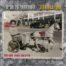 גברת מגונדרת