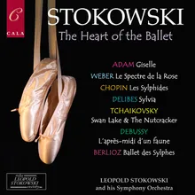 Swan Lake, Op. 20: Dance of the Little Swans