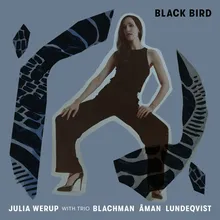 Black Bird