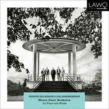 Quintet in D minor, Op. 41: III. Allegretto