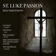 St. Luke Passion: Recitative and Dialogue III