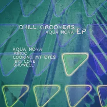 Aqua Nova-Groovers In The House Mix