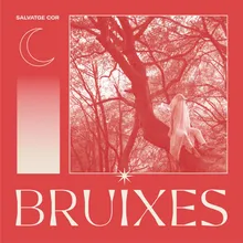 Bruixes