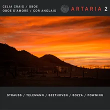 Sonata in E Minor, TWV40104: Allegro