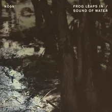 Frog Leaps In/Sound of Water