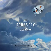 The Domestic Sublime: IV. Saucer