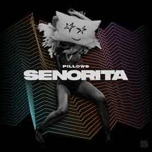 Senorita Extended Mix