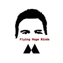Flying Huge Birds
