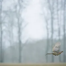 Når solen kysser havet