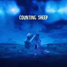 Counting Sheep