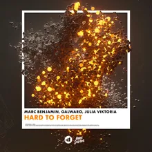 Hard to Forget (feat. Julia Viktoria)