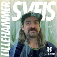 Lillehammer Sveis