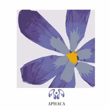 APHACA123