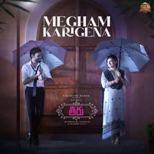 Megham Karigane (From "Thiru")