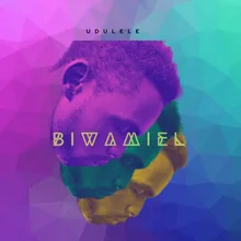 Biwamiel
