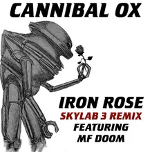 Iron Rose-Skylab 3 Remix Instrumental