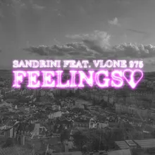 Feelings