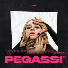 Not Too Late (Pegassi Remix)