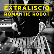 Romantic Robot