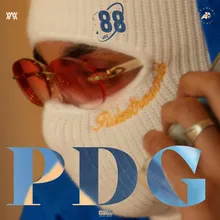 PDG