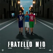 Fratello mio