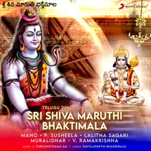 Om Namah Shivaya