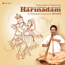 Krishna Nee Begane (Instrumental - Nadaswaram)