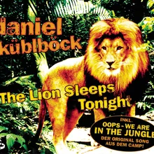 The Lion Sleeps Tonight (Radio Jungle Edit)